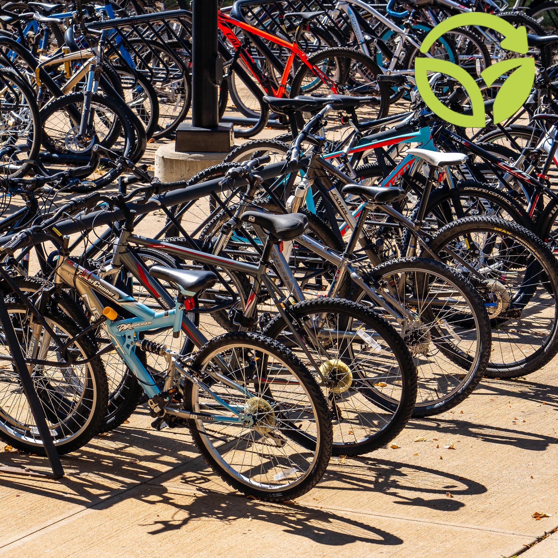 Ride More and Do More – The Roots of Our Social Purpose