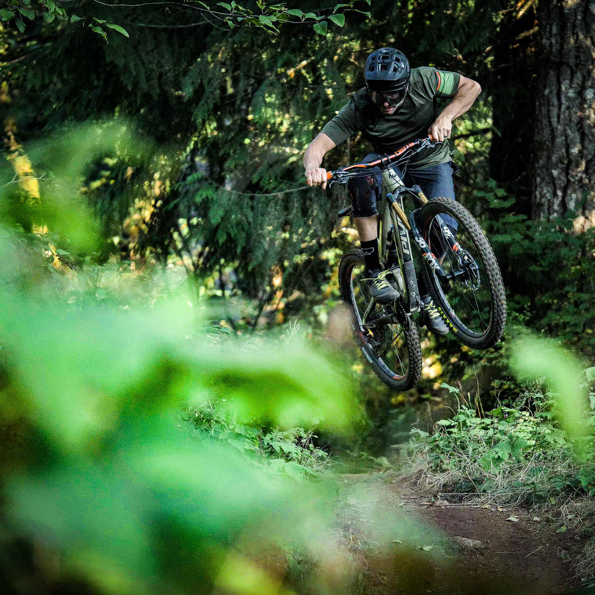 Emblem Cascadia – Lush Connections