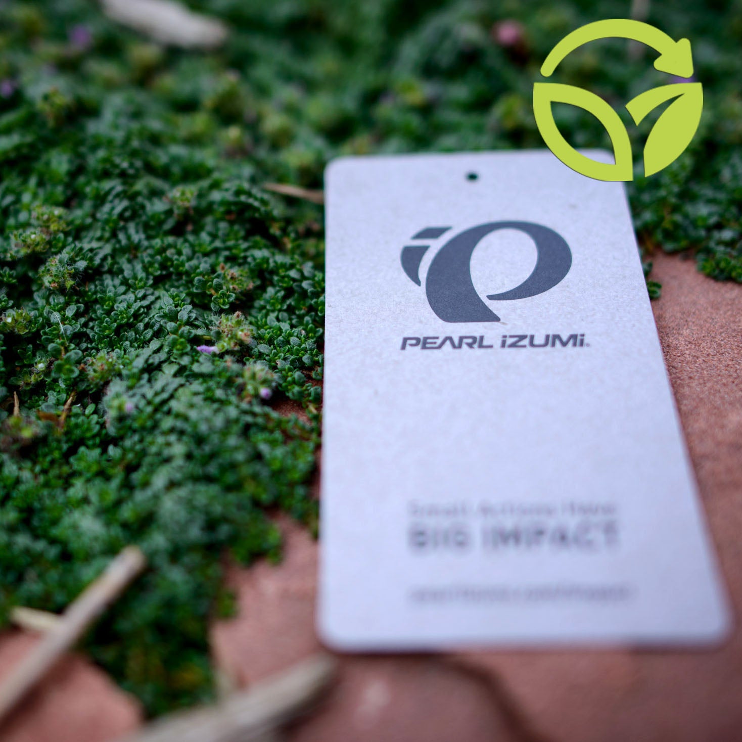 Small Steps, Big Impact – The Butterfly Effect of Redesigning a Hangtag