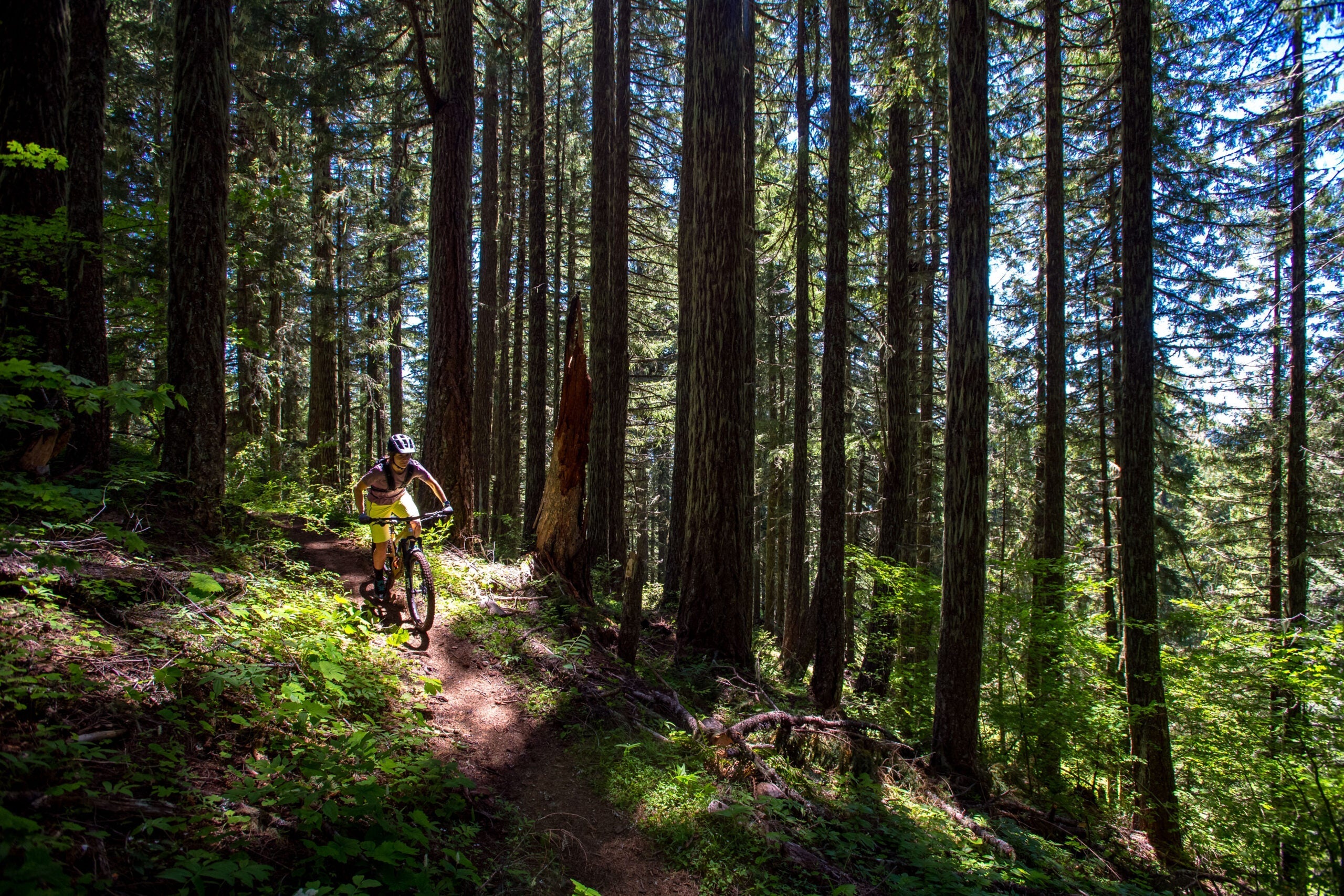 Beyond the Ride: How to be a Steward of the Trail