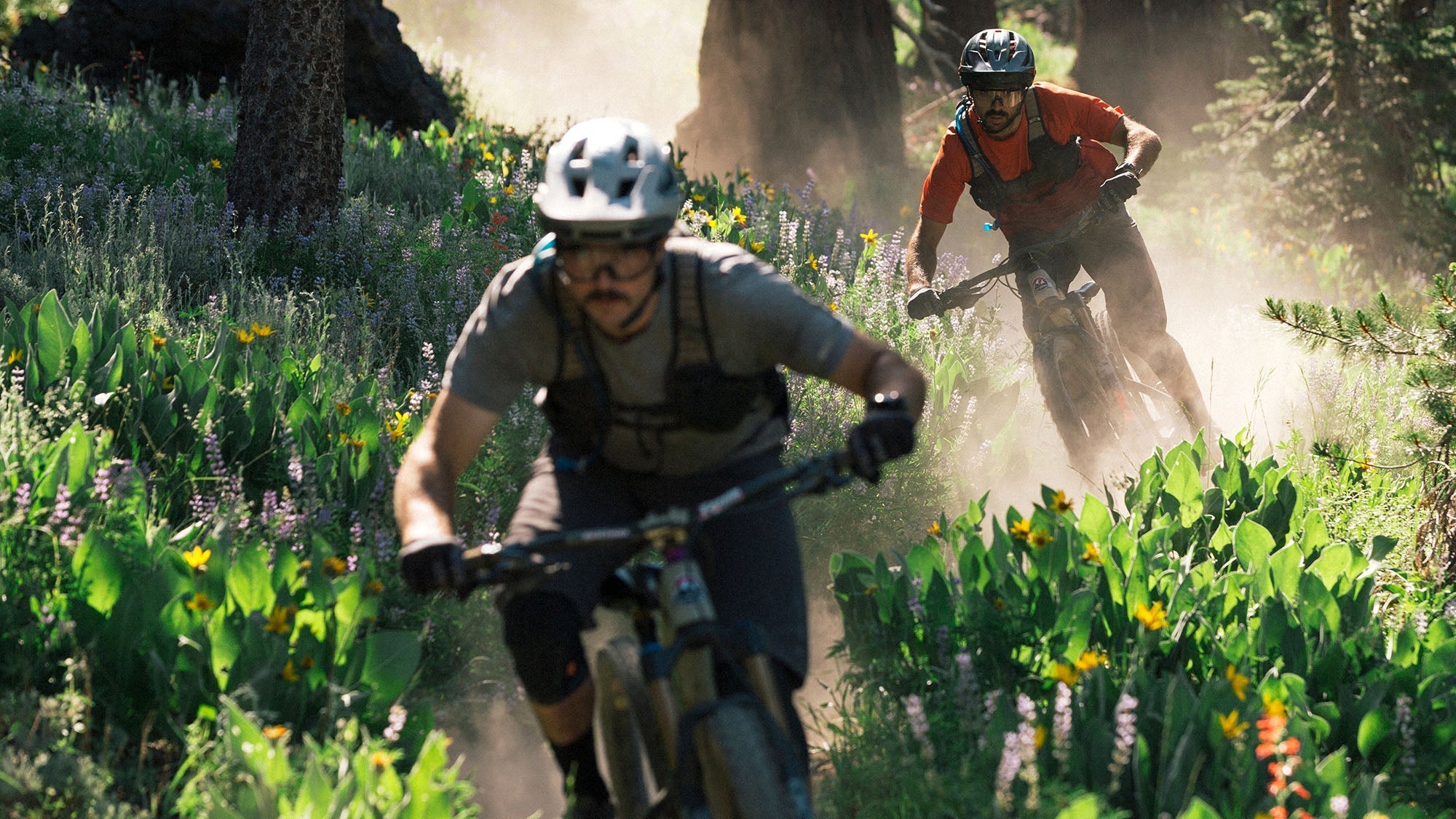 More Trail — Landscapes: Forest Riding Pt. 1