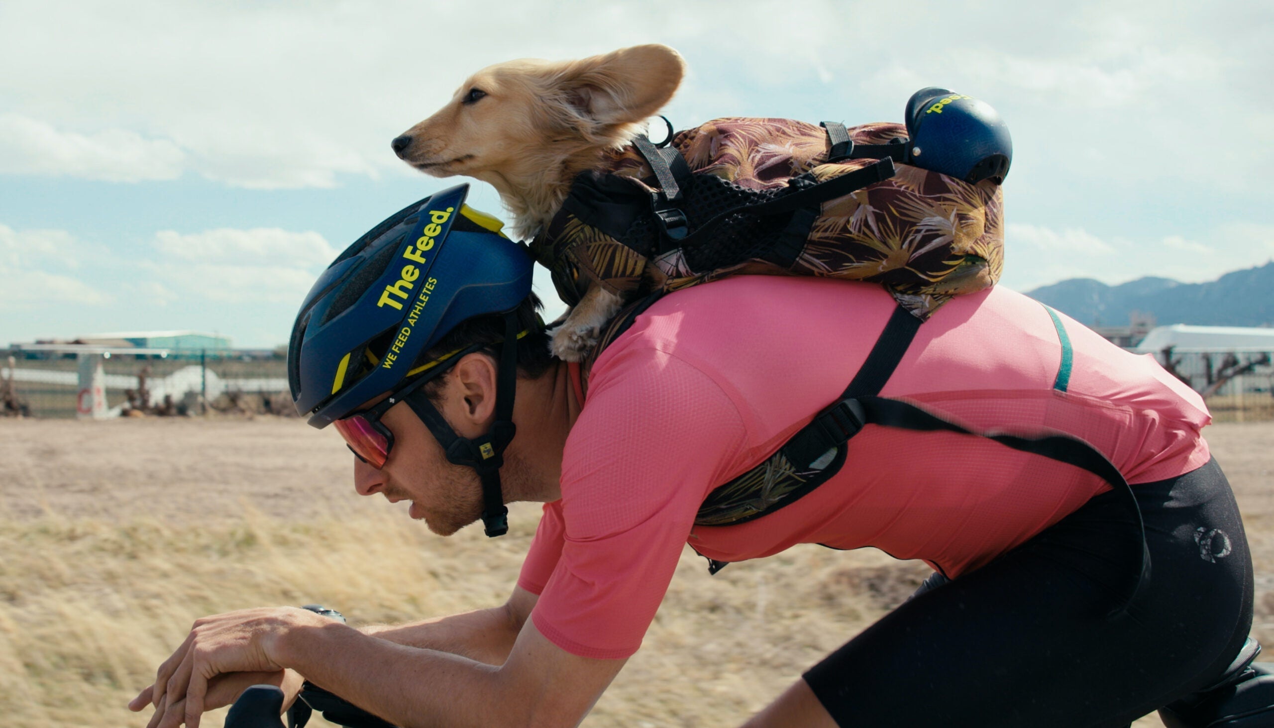 FKD: Fastest Known Dog