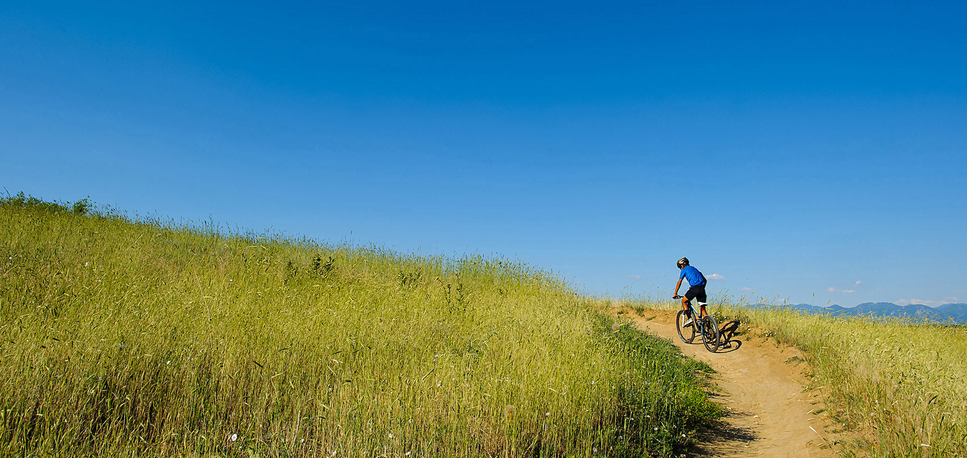 Mountain Biker Climbing Up a Trail Through a Grassy Field