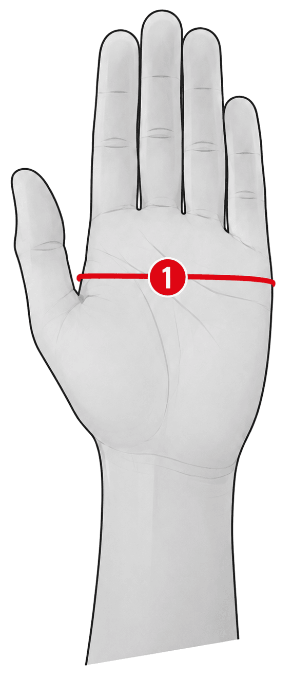 Diagram of an open hand with one measuring point around the fullest part of the palm.