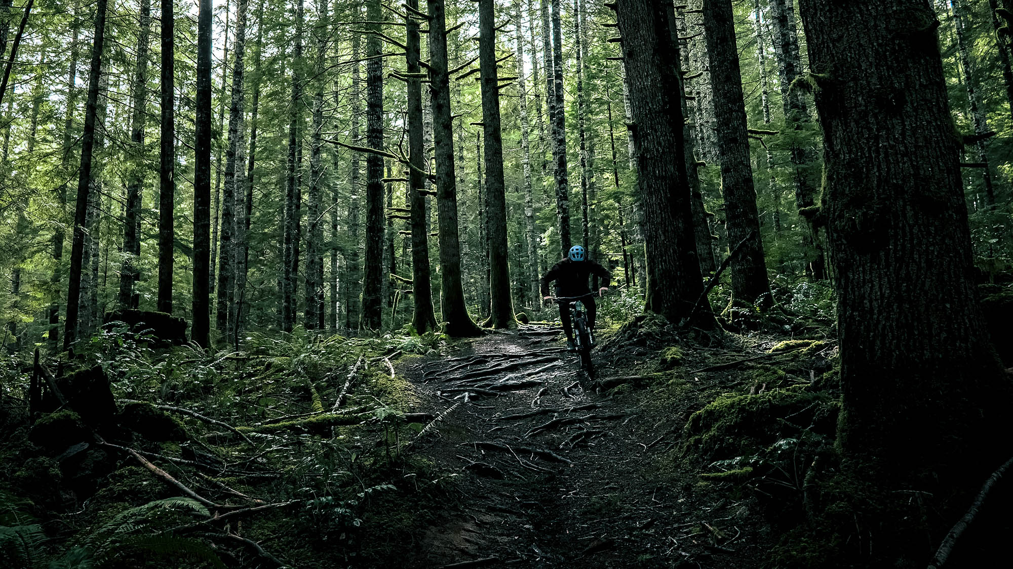 Underexposed EP15 - Alsea Falls, OR