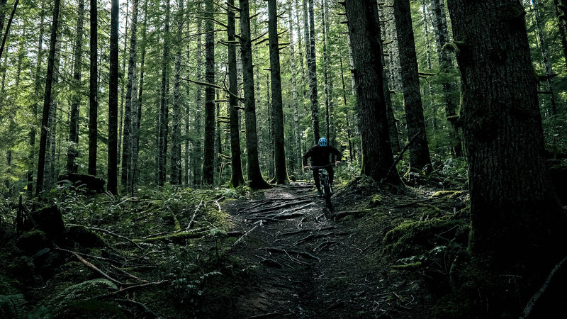 Underexposed EP15 - Alsea Falls, OR