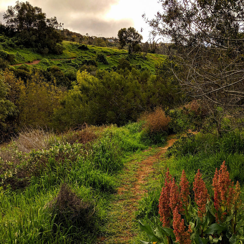 Getting Lost to Find Yourself – Becoming More Adventurous