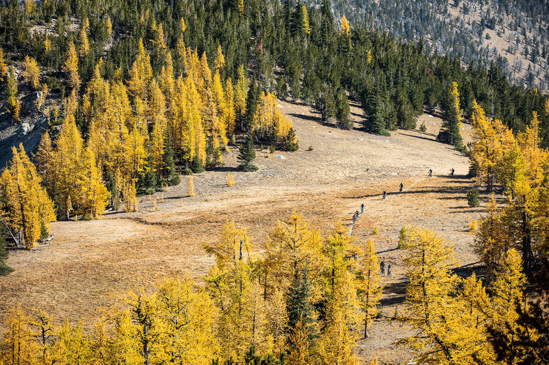 SIGHT LINES PT. 2: Through the Lens at Trans-Cascadia