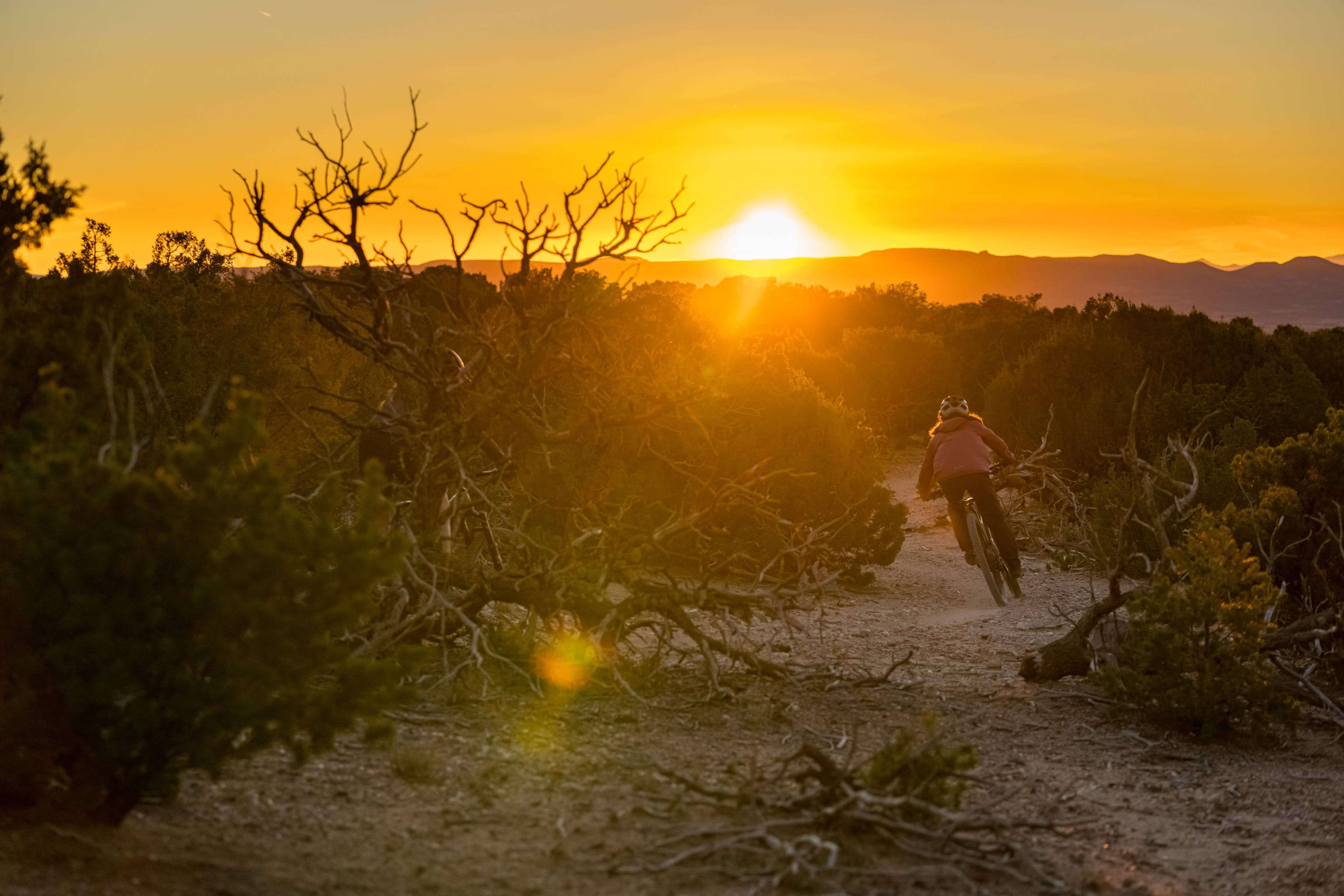 Best Destinations for Riding Bikes Tucson, AZ PEARL iZUMi