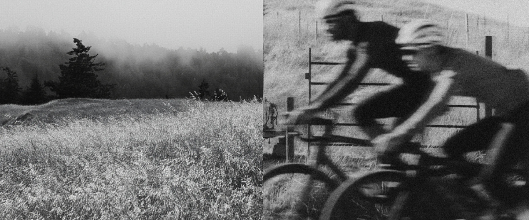 Black Friday Sale Banner