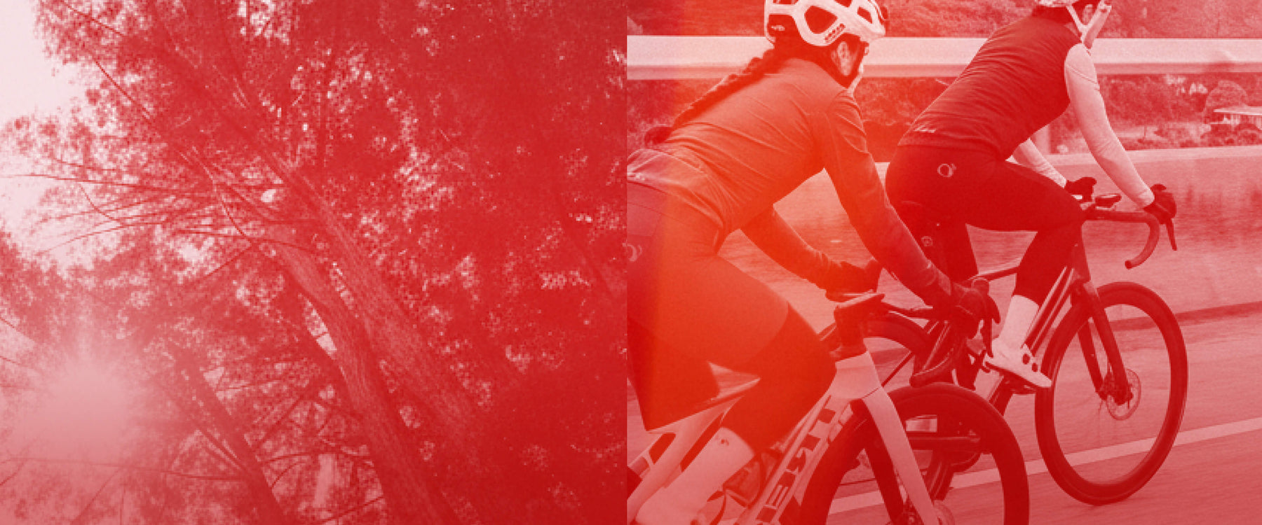 Black Friday Sale Banner