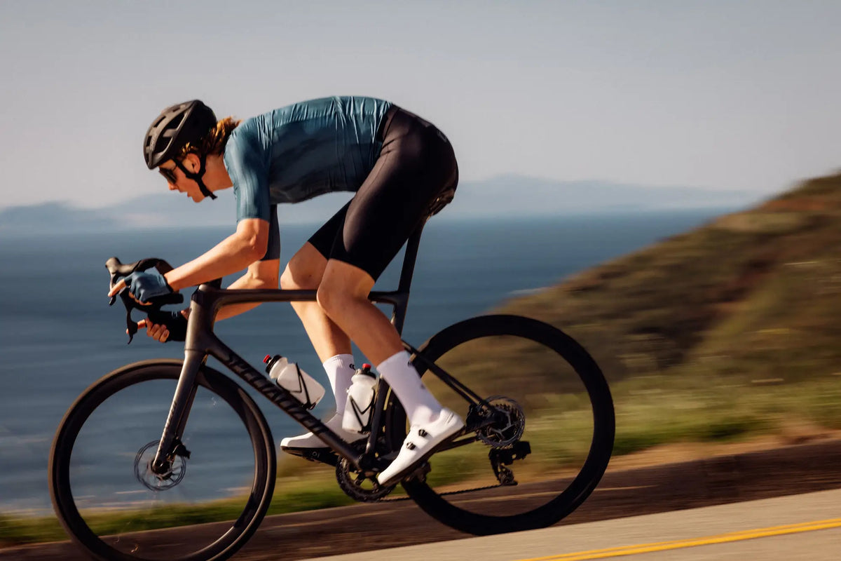 Chamois Guide