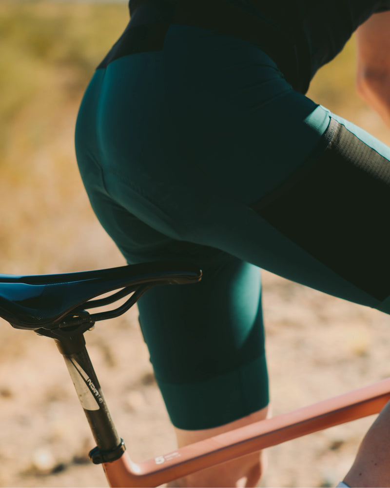 CHAMOIS GUIDE