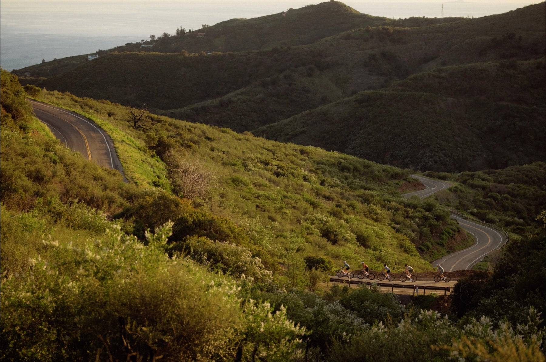 Spring '26 product launch teaser image